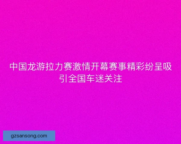 中国龙游拉力赛激情开幕赛事精彩纷呈吸引全国车迷关注 中国龙游拉力赛激情开幕赛事精彩纷呈吸引全国车迷关注