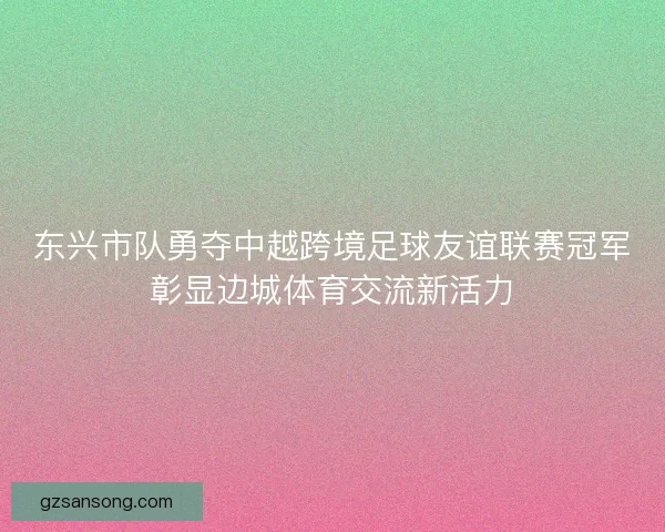 东兴市队勇夺中越跨境足球友谊联赛冠军彰显边城体育交流新活力 东兴市队勇夺中越跨境足球友谊联赛冠军彰显边城体育交流新活力